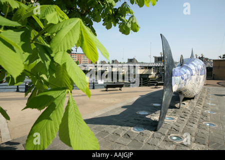 Les gros poissons, à Lagan Weir, Donegall Quay site de réaménagement, Belfast, Irlande du Nord. Banque D'Images