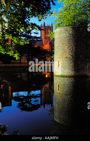 Wells Cathedral et vu de dessus les douves autour du palais et jardins de la ville de Wells au crépuscule. Le Somerset, Angleterre. Banque D'Images