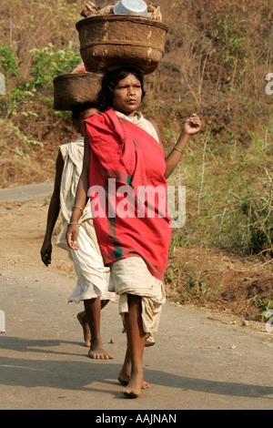 Les femmes voyageant sur le marché à un Bissamcuttack, Chatikona, Orissa, Inde Banque D'Images