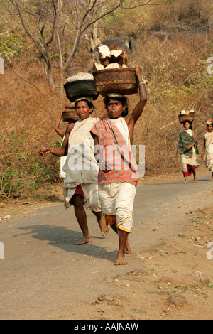 Les femmes voyageant sur le marché à un Bissamcuttack, Chatikona, Orissa, Inde Banque D'Images