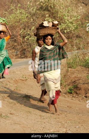 Les femmes voyageant sur le marché à un Bissamcuttack, Chatikona, Orissa, Inde Banque D'Images