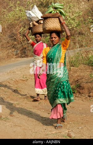 Les femmes voyageant sur le marché à un Bissamcuttack, Chatikona, Orissa, Inde Banque D'Images