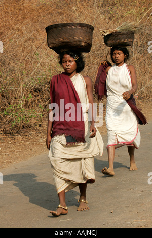 Les femmes voyageant sur le marché à un Bissamcuttack, Chatikona, Orissa, Inde Banque D'Images