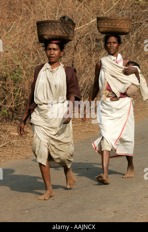 Les femmes voyageant sur le marché à un Bissamcuttack, Chatikona, Orissa, Inde Banque D'Images