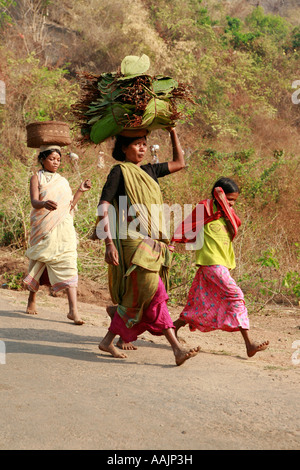 Les femmes voyageant sur le marché à un Bissamcuttack, Chatikona, près de Mirbel, Orissa, Inde Banque D'Images