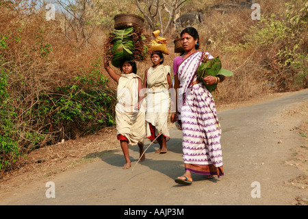 Les femmes voyageant sur le marché à un Bissamcuttack, Chatikona, près de Mirbel, Orissa, Inde Banque D'Images