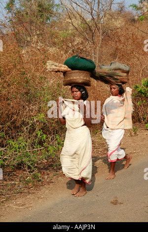 Les femmes voyageant sur le marché à un Bissamcuttack, Chatikona, près de Mirbel, Orissa, Inde Banque D'Images