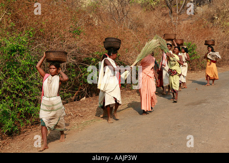 Les femmes voyageant sur le marché à un Bissamcuttack, Chatikona, près de Mirbel, Orissa, Inde Banque D'Images