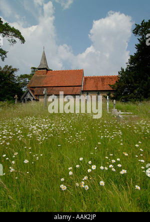 Refuge de la faune dans la cour au Holy Cross, Bignor UK. Le cimetière a été laissé à l'état sauvage comme un refuge pour la faune. Banque D'Images