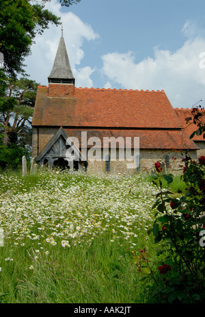 L'église Sainte Croix Bignor cimetière a été laissé à l'état sauvage comme un refuge pour la faune Banque D'Images