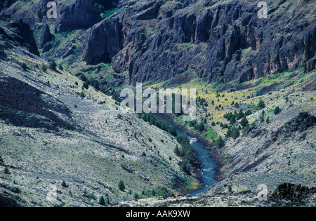 L'Owyhee River canyon entre trois fourchettes et Rome dans le sud-est de l'Oregon Banque D'Images