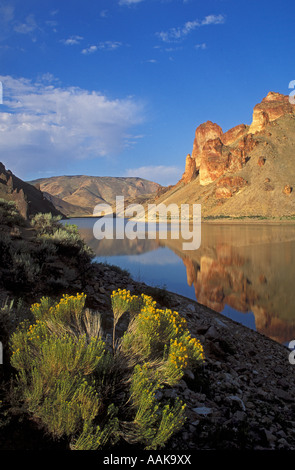 Lake Owyhee à Leslie Gulch Arrière-pays National BLM Byway sud-est de l'Oregon Banque D'Images