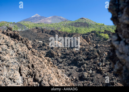 Une coulée de lave de la montagne volcanique du Teide sur l'île de Tenerife dans les îles Canaries Banque D'Images