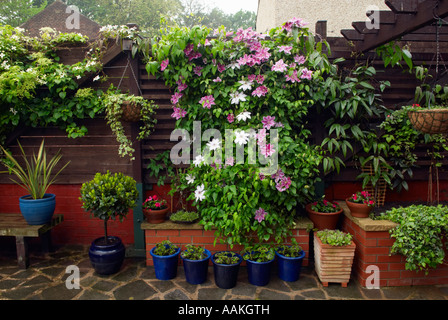 Jardin luxuriant avec 'crazy paving' patio et des plantes Banque D'Images