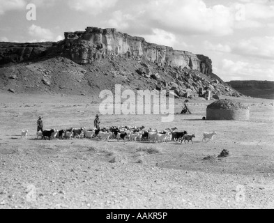 1930 PAIRE DE CHÈVRES ACCUEIL CONDUITE indiens Navajo avec cabane de torchis et montagnes en arrière-plan Banque D'Images