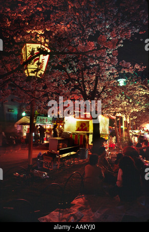 Cherry Blossom par nuit- parc Maruyama Kyoto Banque D'Images