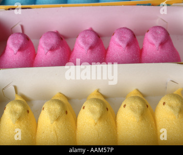 Guimauve DE COULEUR JAUNE ET ROSE SUCRE CHICKS Banque D'Images