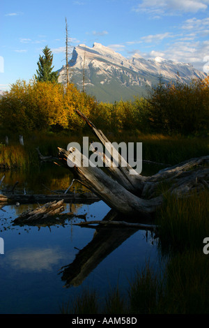 Splendeur d'automne horizontal dans les Rocheuses canadiennes Banff National Park Alberta Canada Amérique du Nord Banque D'Images