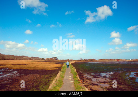 Personne âgée sur le sentier The Duver, Bembridge Harbour, Bembridge, Isle of Wight, Angleterre, Royaume-Uni, GB. Banque D'Images