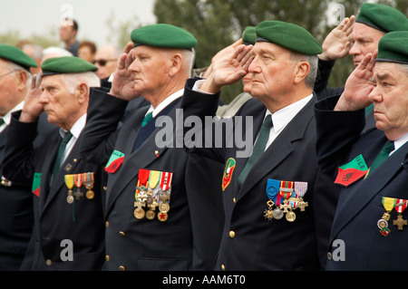 Souvenir, de service, de jour, en, France, Français, étrangers, la guerre, la légion, anciens combattants, soldats, vieux, n'oubliez pas, médailles, bravoure, survivo Banque D'Images