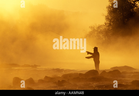 Boise, Idaho Fly fisherman casting tôt le matin, le brouillard d'automne sur la rivière Boise Banque D'Images