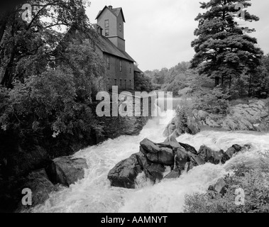 La chute d'arbres & STREAM ENTOURANT L'USINE DE CHITTENDEN DANS JÉRICHO VERMONT Banque D'Images