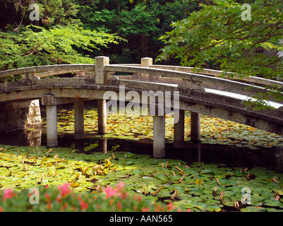 Jardin japonais traditionnel au 'temple Chion In' à Kyoto au Japon Banque D'Images