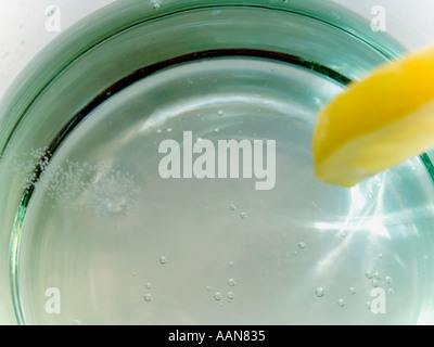 GIN TONIC AVEC UNE TRANCHE DE CITRON Banque D'Images