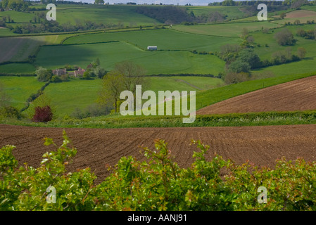 Europe Royaume-Uni Royaume-Uni gb Grande-Bretagne Angleterre Somerset paysage avec ferme Banque D'Images