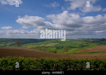 Europe Royaume-Uni Royaume-Uni gb Grande-Bretagne Angleterre Somerset paysage avec ferme Banque D'Images