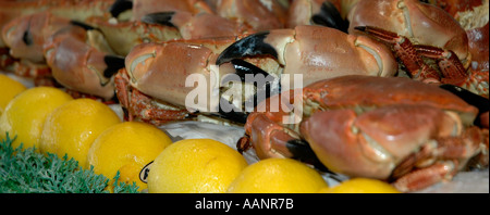 Les crabes en vente à poissonniers Français Banque D'Images
