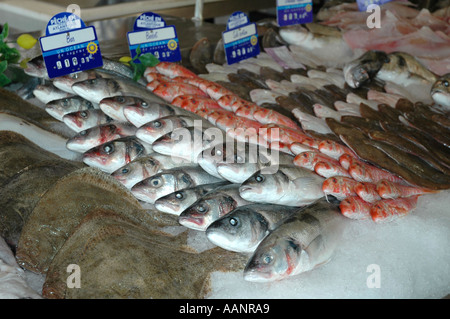 Le poisson frais sur dalle poissonniers Français Banque D'Images