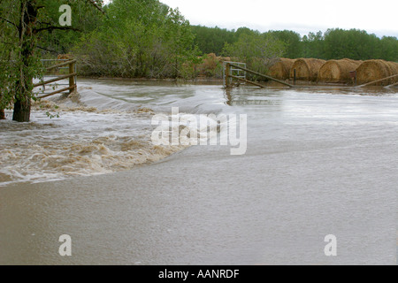 2005 Inondations dans le sud de l'Alberta Canada Banque D'Images