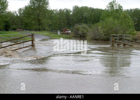 2005 Inondations dans le sud de l'Alberta Canada Banque D'Images