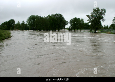 2005 Inondations dans le sud de l'Alberta Canada Banque D'Images