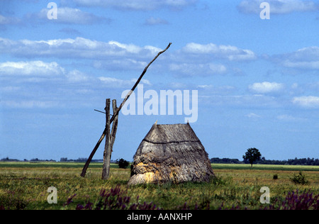 Tirer bien avec lit bébé dans la Puszta, la Hongrie, la Pusta Reka Banque D'Images