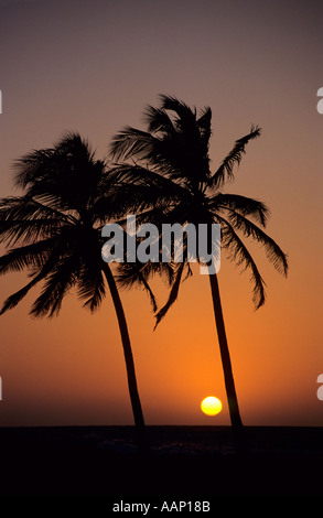 Coucher du soleil des Caraïbes, Cartagena, Colombie Banque D'Images