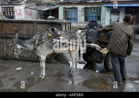 Chine Shanxi Datong homme livrer le charbon avec un chariot tiré par un âne Banque D'Images