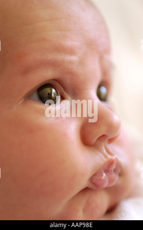 Profil d'un portrait de bébé Banque D'Images