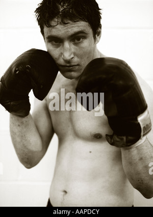 Boxer prêt à combattre. Banque D'Images