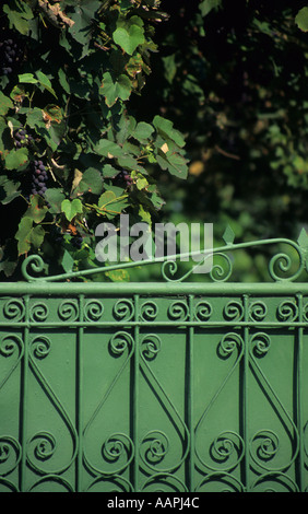 Porte verte et les raisins village roumain Banque D'Images