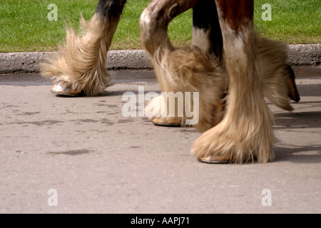 Pieds Banque D'Images