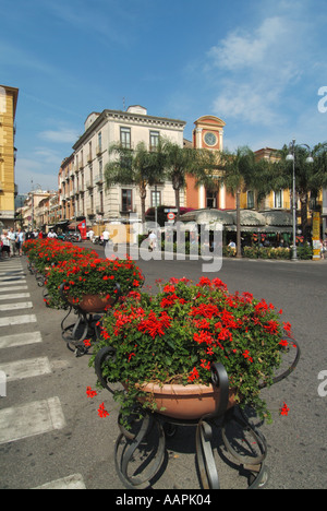 Sorrento resort centre ville Place Tasso affichage floral feuille de lierre avec des géraniums sauges dans des paniers en fer forgé sur roues Banque D'Images