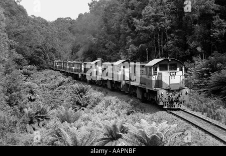 Train de minerai de fer de la Baie d'Emu remorqué par des locomotives diesel à travers neuf hydraulique rainforest, Tasmanie, Australie. 1988 Banque D'Images