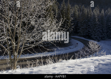 France Lans en Vercors une courbe en passant par les sapins enneigés Banque D'Images