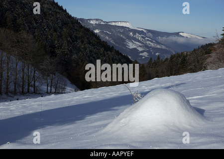 France Lans en Vercors champ neigeux et la Vallée Banque D'Images