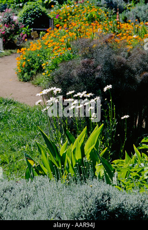 Jardin de fleurs et de légumes biologiques Institut Esalen Big Sur Californie Banque D'Images