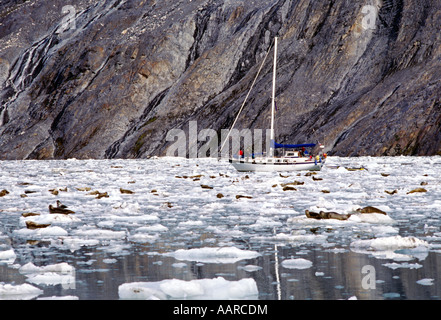 Un voilier privé et le phoque commun Phoca vitulina à la John Hopkins INLET Glacier Bay en Alaska Banque D'Images