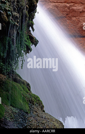 Détail de Beaver Falls le long de HAVASU CREEK GRAND CANYON NATIONAL PARK ARIZONA Banque D'Images