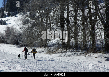 France Lans en Vercors un couple et leur chien Ski Banque D'Images